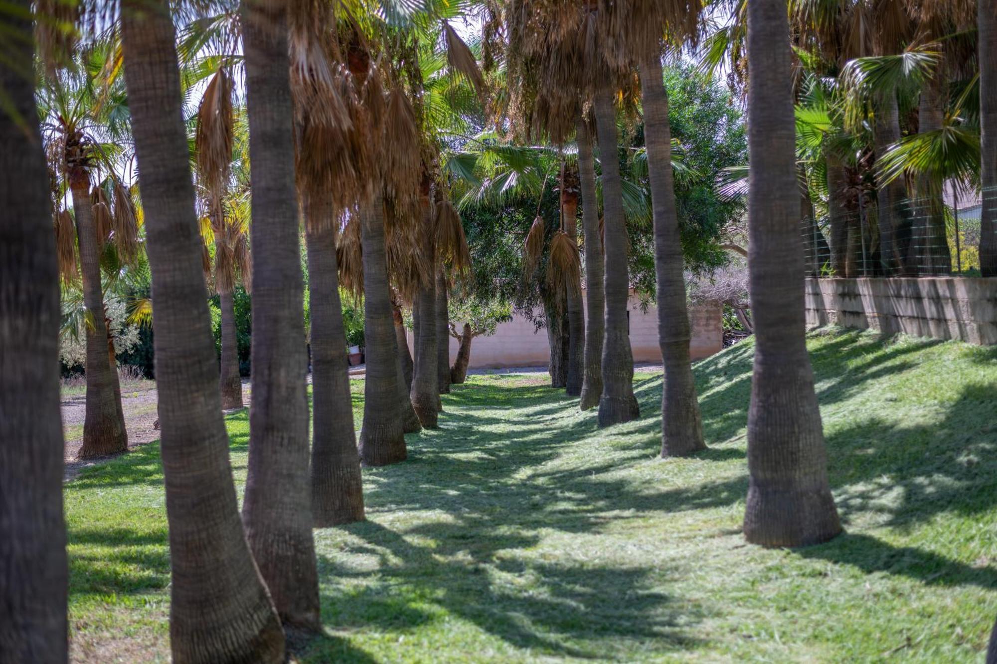 Villa Fina Colonia de Sant Jordi Exterior photo